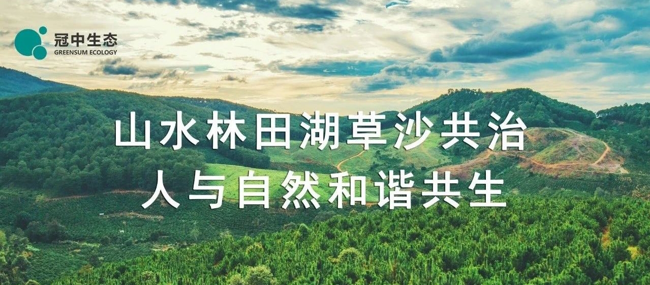 8ͷΨһٷվϷ